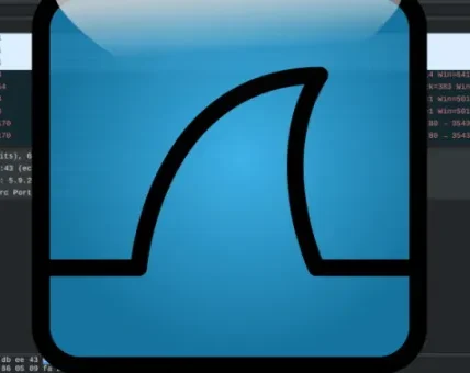 Przechwytywanie i analiza ruchu sieciowego aplikacji Androida (Burp Suite, Wireshark)