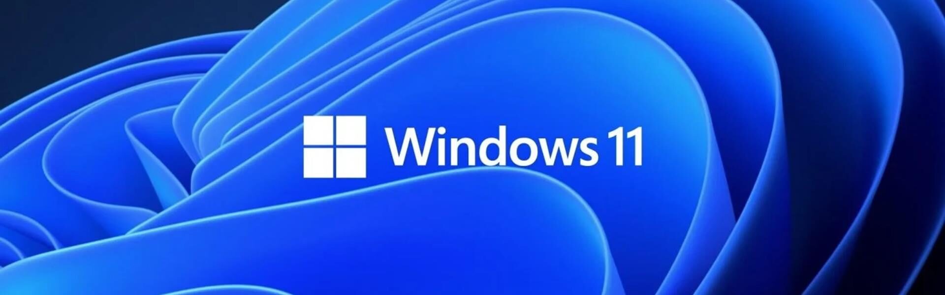 Rozwiązywanie problemów z automatycznymi aktualizacjami Windows 11