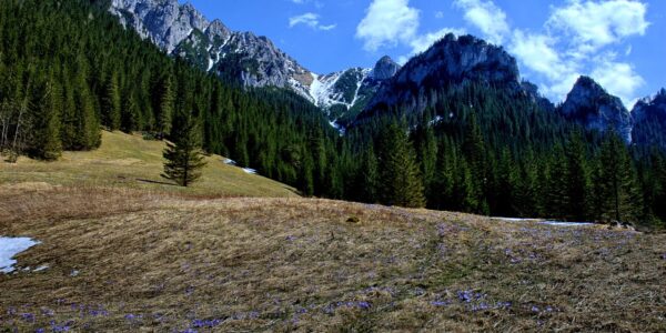 Kościelisko – spokojna alternatywa dla Zakopanego