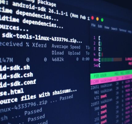 Enumeracja i rekonesans w systemach Linux z użyciem narzędzi typu LinEnum i LinPEAS