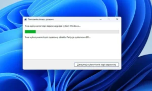 Jak odzyskać pliki po awarii Windows 11?