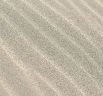 Piaskownice (sandboxing) i wirtualne środowiska do bezpiecznego testowania podejrzanych stron. Jak z nich korzystać