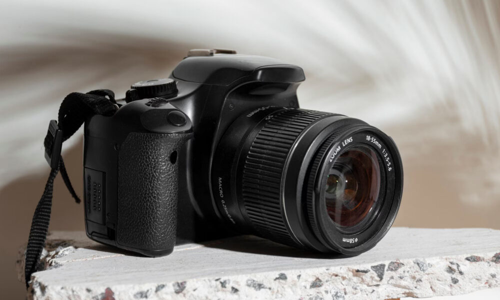 Piękne stworzenia uwiecznione na zawsze