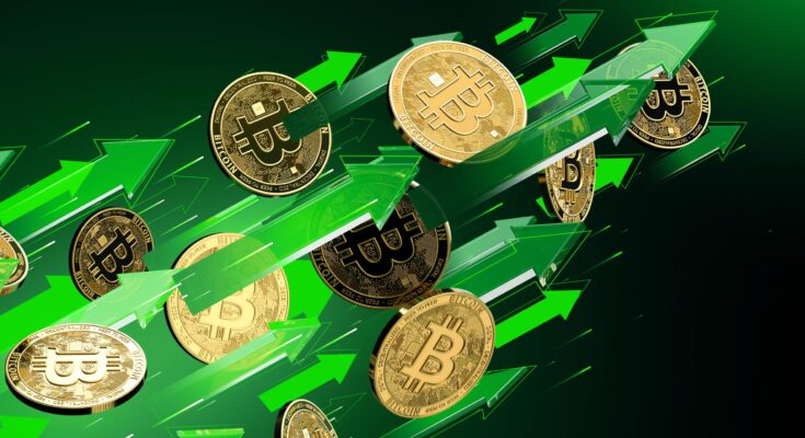 Czarny scenariusz: Co się stanie, gdy zhakują Twoje kryptowaluty? Plan działania