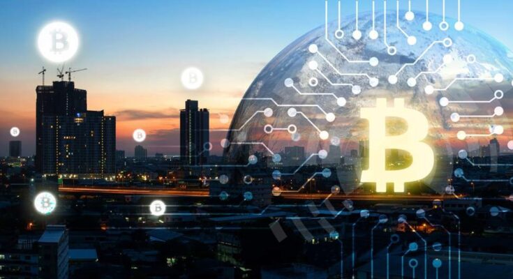 Edukacja to najlepsza obrona: Jak rozwijać świadomość w świecie kryptowalut