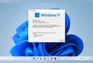 Project Zero vs. Windows 11: Najgłośniejsze odkrycia luk i ich wpływ na bezpieczeństwo