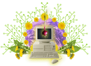 Tor i wirtualne maszyny: Kompleksowe podejście do zwiększenia anonimowości