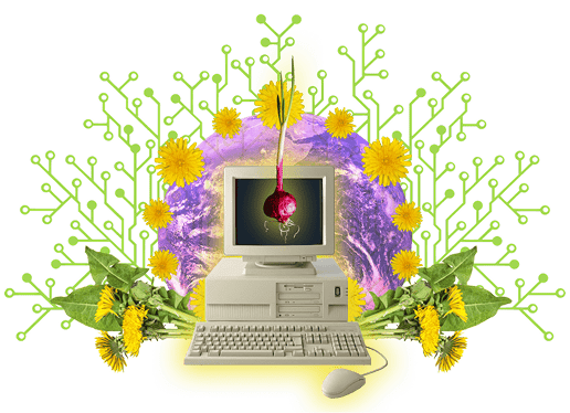 Tor i wirtualne maszyny: Kompleksowe podejście do zwiększenia anonimowości