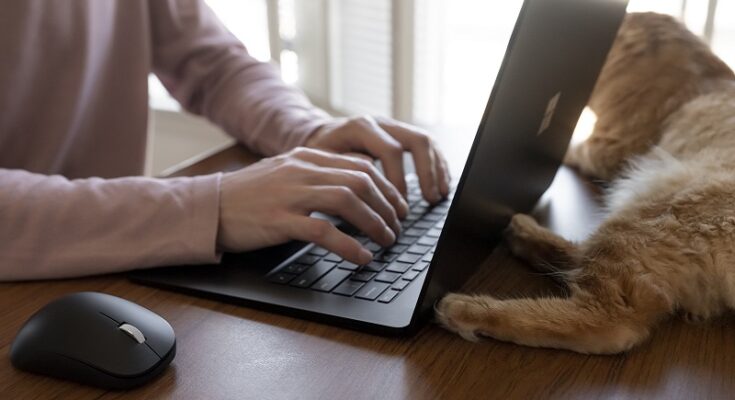 Ułatwienia dostępu w Windows 12: Konfiguracja dla użytkowników ze specjalnymi potrzebami – Ekspercki przewodnik