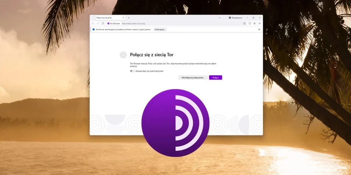 Zaawansowane opcje konfiguracyjne Tor Browser: Spersonalizuj swoją anonimowość
