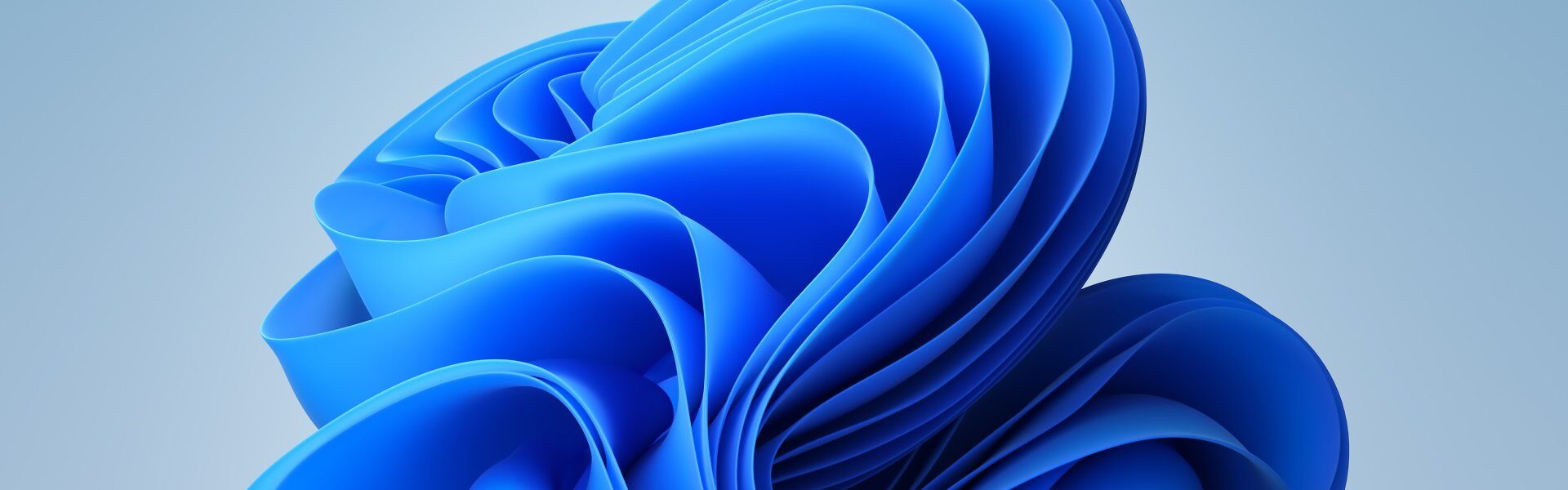 Problem: pasek wyszukiwania (Search Bar) w Windows 11 nie działa – losowe usuwanie treści, brak reakcji i resetowanie pola