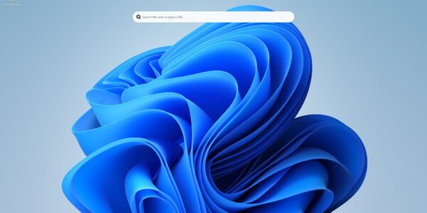 Problem: pasek wyszukiwania (Search Bar) w Windows 11 nie działa – losowe usuwanie treści, brak reakcji i resetowanie pola