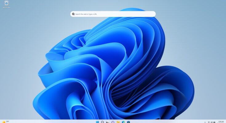 Problem: pasek wyszukiwania (Search Bar) w Windows 11 nie działa – losowe usuwanie treści, brak reakcji i resetowanie pola