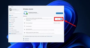 Windows 11 samoczynnie resetuje ustawienia prywatności po aktualizacji