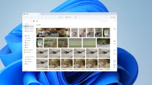 Windows 11 zamienia zdjęcia i pliki graficzne na czarne miniatury lub pusty podgląd