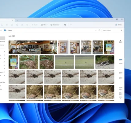 Windows 11 zamienia zdjęcia i pliki graficzne na czarne miniatury lub pusty podgląd