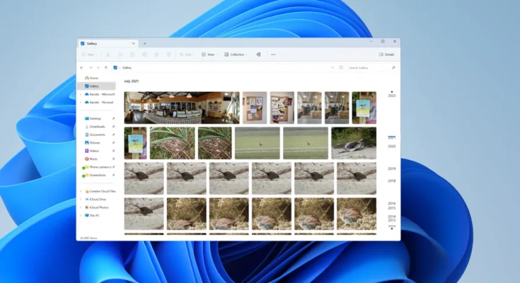Windows 11 zamienia zdjęcia i pliki graficzne na czarne miniatury lub pusty podgląd