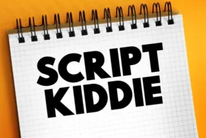 Rodzaje hackingu – Script Kiddies