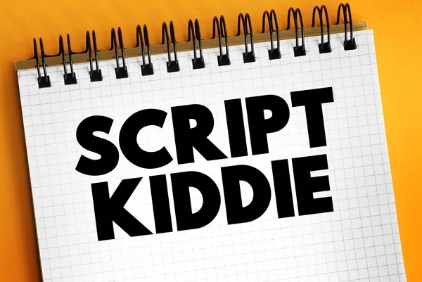 Rodzaje hackingu – Script Kiddies