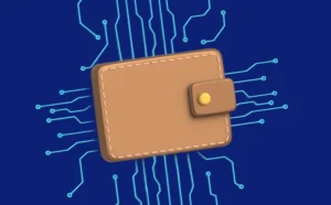 Portfele cyfrowe i gracze, którzy z nich korzystają: spojrzenie na nawyki związane z wydatkami