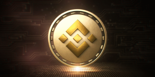 Nagły wzrost aktywności w sieci: BNB Chain napędza falę nowych memecoinów