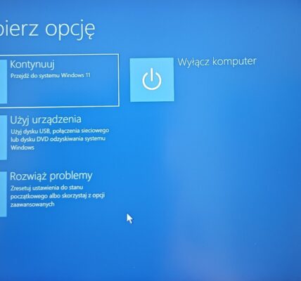 Naprawa podczas uruchomienia a problem z hasłem w Windows 11 i 10
