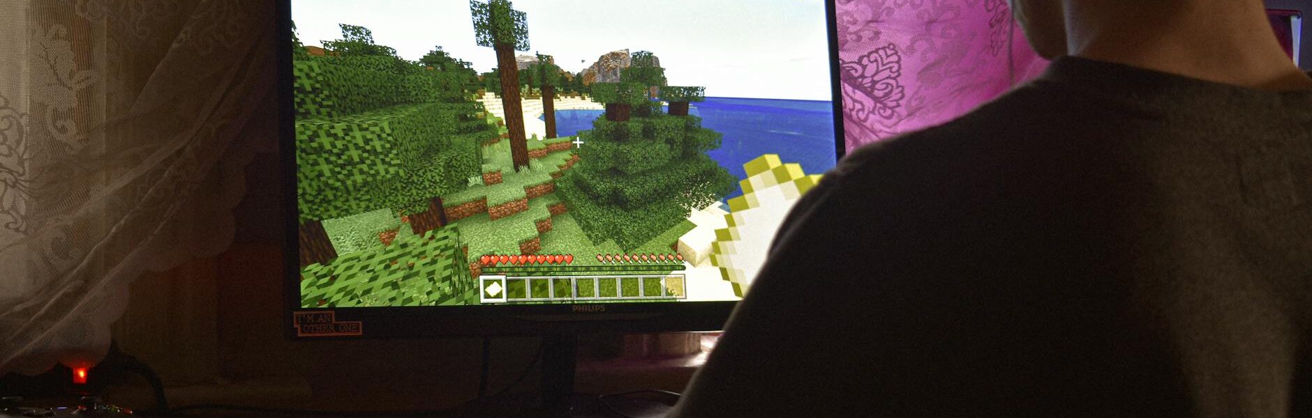 Jak stworzyć własny serwer Minecraft - poradnik