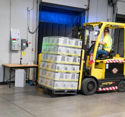 System WMS i doradztwo logistyczne – połączenie szyte na miarę sukcesu