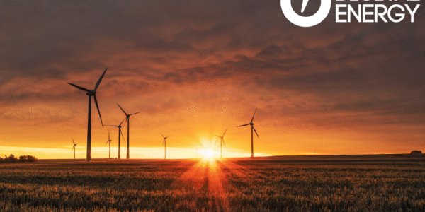 Czym są i jak można korzystać z odnawialnych źródeł energii?