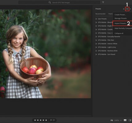 Ile kosztują profesjonalne presety do Lightroom?