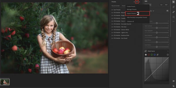 Ile kosztują profesjonalne presety do Lightroom?