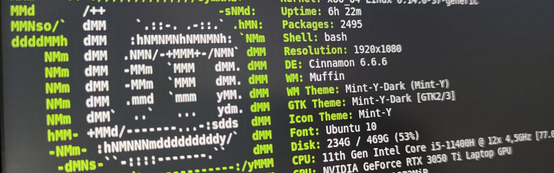 Dlaczego Linux Mint nie uruchamia się po aktualizacji systemu (boot loop lub czarny ekran)