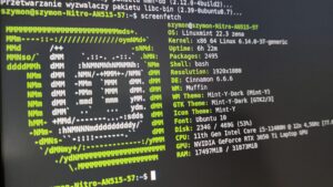 Dlaczego Linux Mint nie uruchamia się po aktualizacji systemu (boot loop lub czarny ekran)