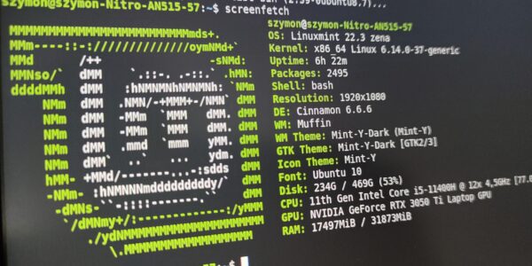 Dlaczego Linux Mint nie uruchamia się po aktualizacji systemu (boot loop lub czarny ekran)