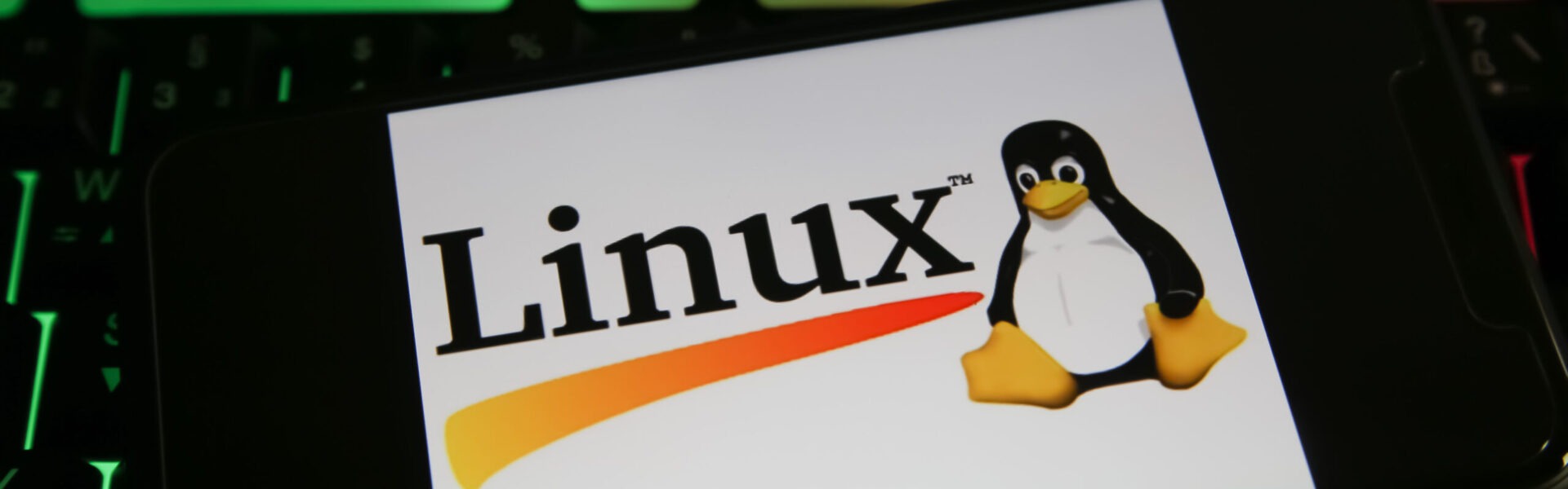 Jak działa Linux OOM Killer i dlaczego zamyka aplikacje bez ostrzeżenia