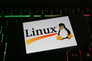 Jak działa Linux OOM Killer i dlaczego zamyka aplikacje bez ostrzeżenia