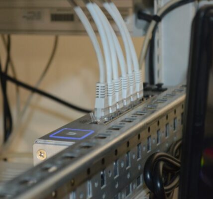 Jak działa routing losowy (randomized routing) i czy naprawdę zwiększa anonimowość