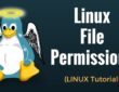 Jak działa system permissions (chmod, chown) i dlaczego Linux jest bardziej bezpieczny niż Windows