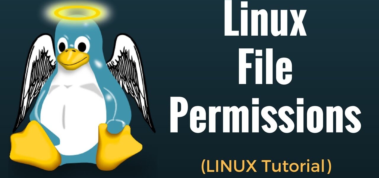 Jak działa system permissions (chmod, chown) i dlaczego Linux jest bardziej bezpieczny niż Windows