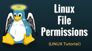Jak działa system permissions (chmod, chown) i dlaczego Linux jest bardziej bezpieczny niż Windows