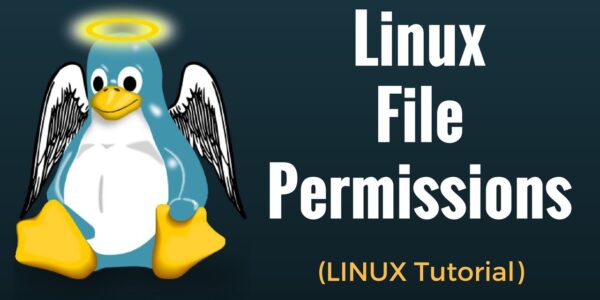 Jak działa system permissions (chmod, chown) i dlaczego Linux jest bardziej bezpieczny niż Windows