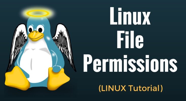 Jak działa system permissions (chmod, chown) i dlaczego Linux jest bardziej bezpieczny niż Windows