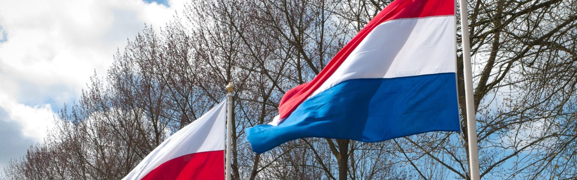 Poland–Netherlands Economic Relations: Why Polish Businesses Thrive in the Dutch Market
