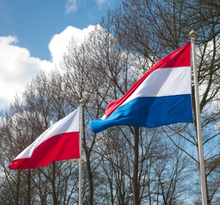 Poland–Netherlands Economic Relations: Why Polish Businesses Thrive in the Dutch Market