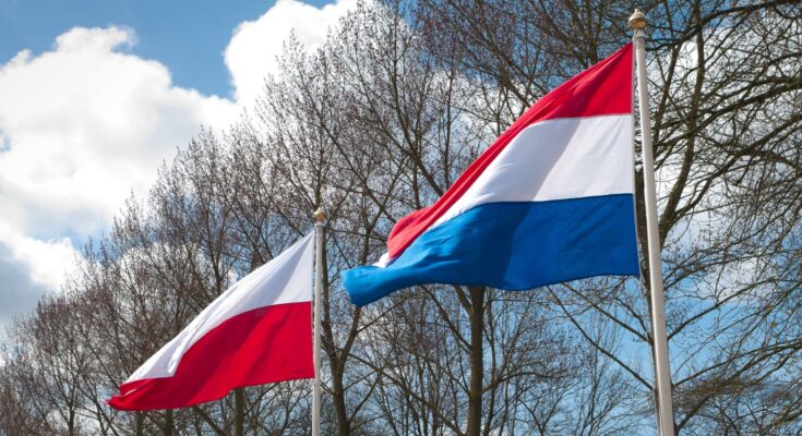 Poland–Netherlands Economic Relations: Why Polish Businesses Thrive in the Dutch Market