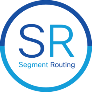 Segment Routing (SR) – nowoczesna ewolucja routingu w sieciach operatorskich i Data Center