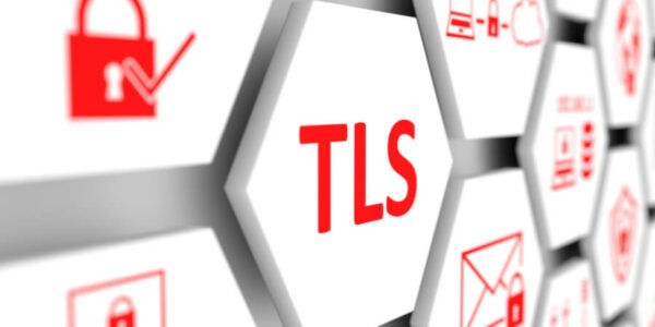 Certificate Transparency (CT) – przejrzystość certyfikatów TLS od środka